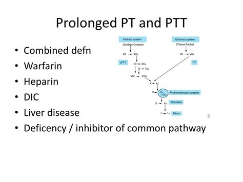 五行手鍊ptt|五行手鍊PTT討論熱烈